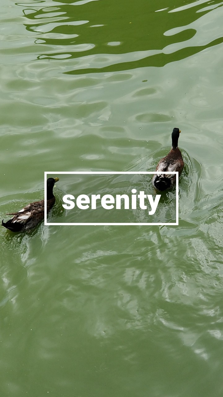 serenity