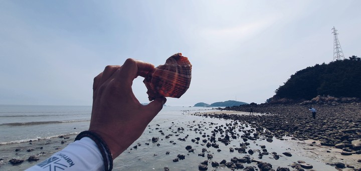 갯벌