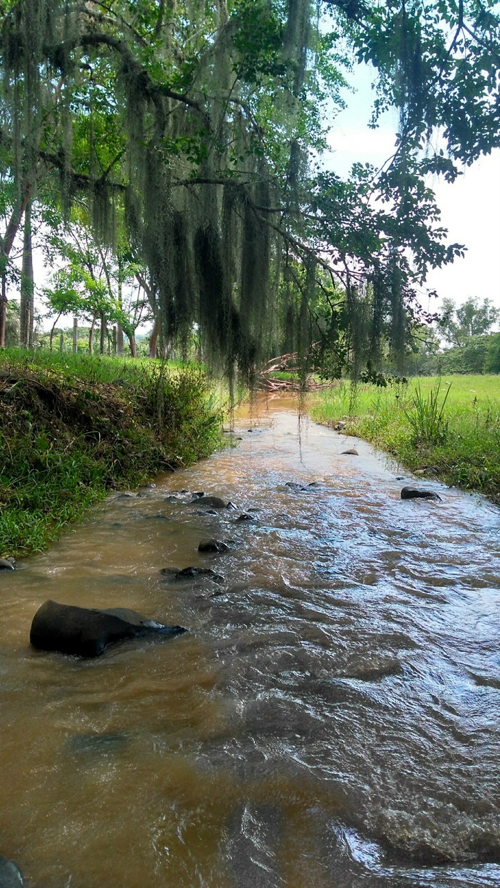 Río