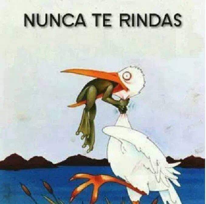 NUNCA TE RINDAS ?"*