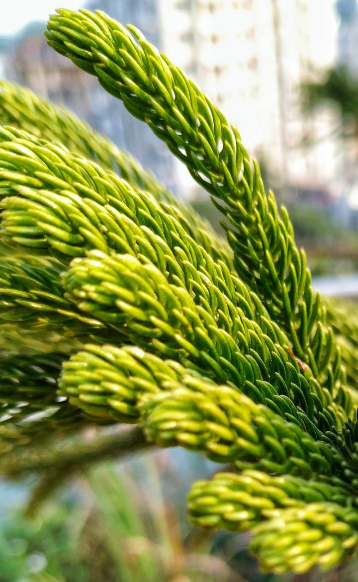 Nature