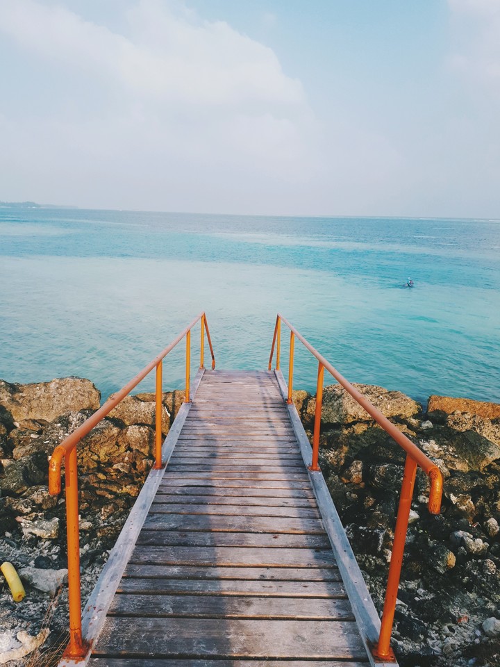 ladder