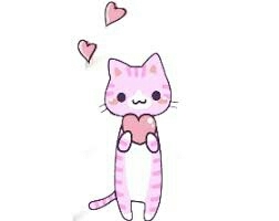 pink cat