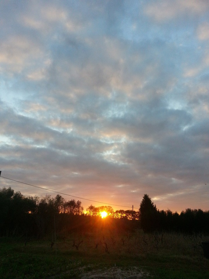 alba
