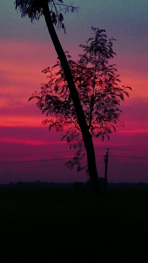good world good evening