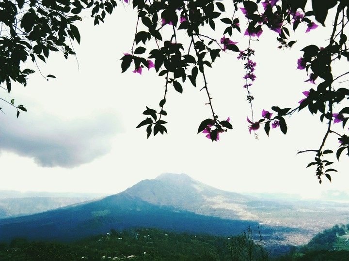mountain
