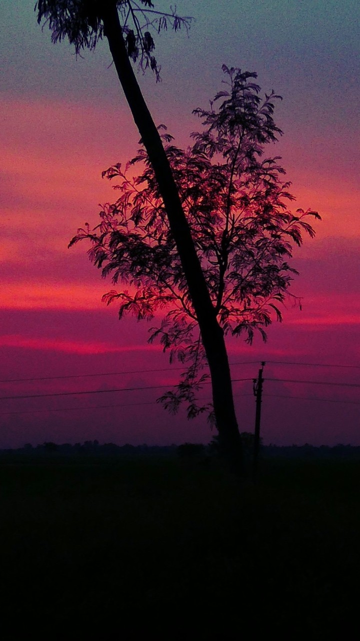 good  world good evening