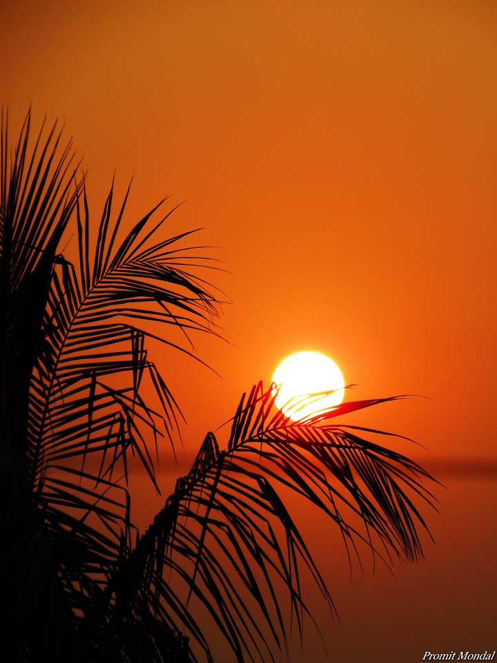Beautiful Sunset