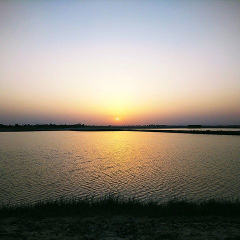 sunset