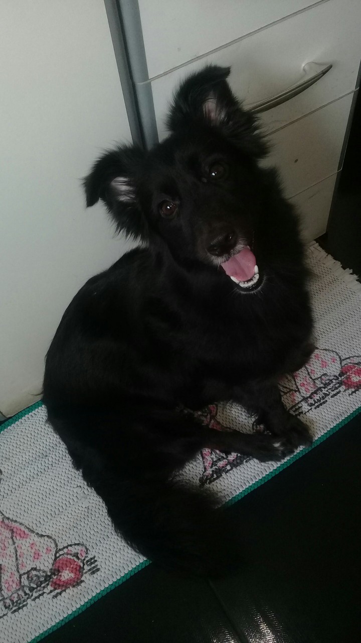 Menina kira