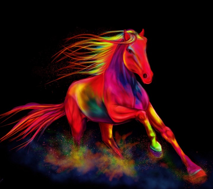 HORSE POWER