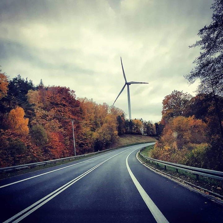 Autumn