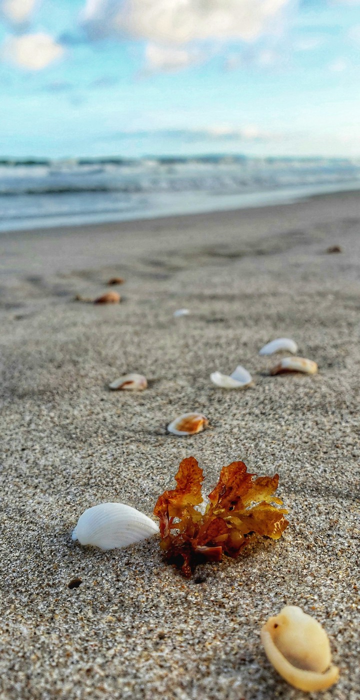 Paraíso