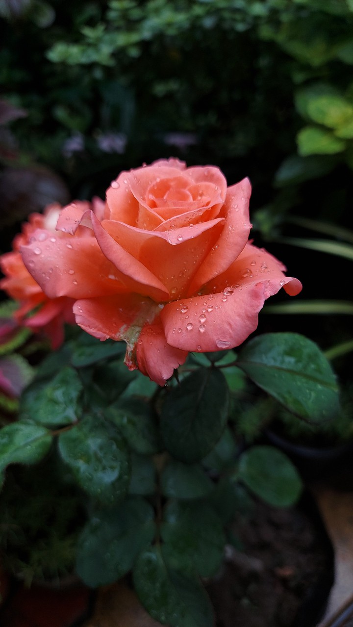 Nature photography...