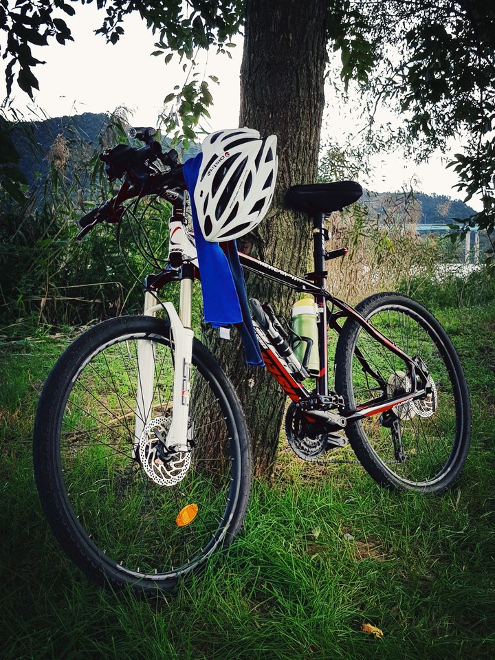 My riding bicycle...MTB