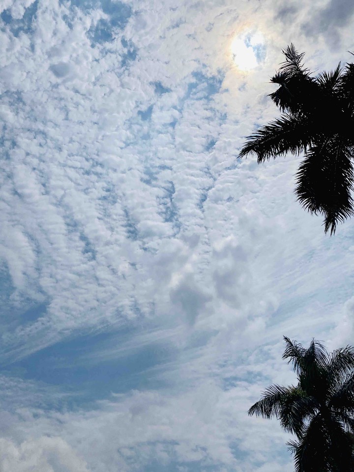 blue sky