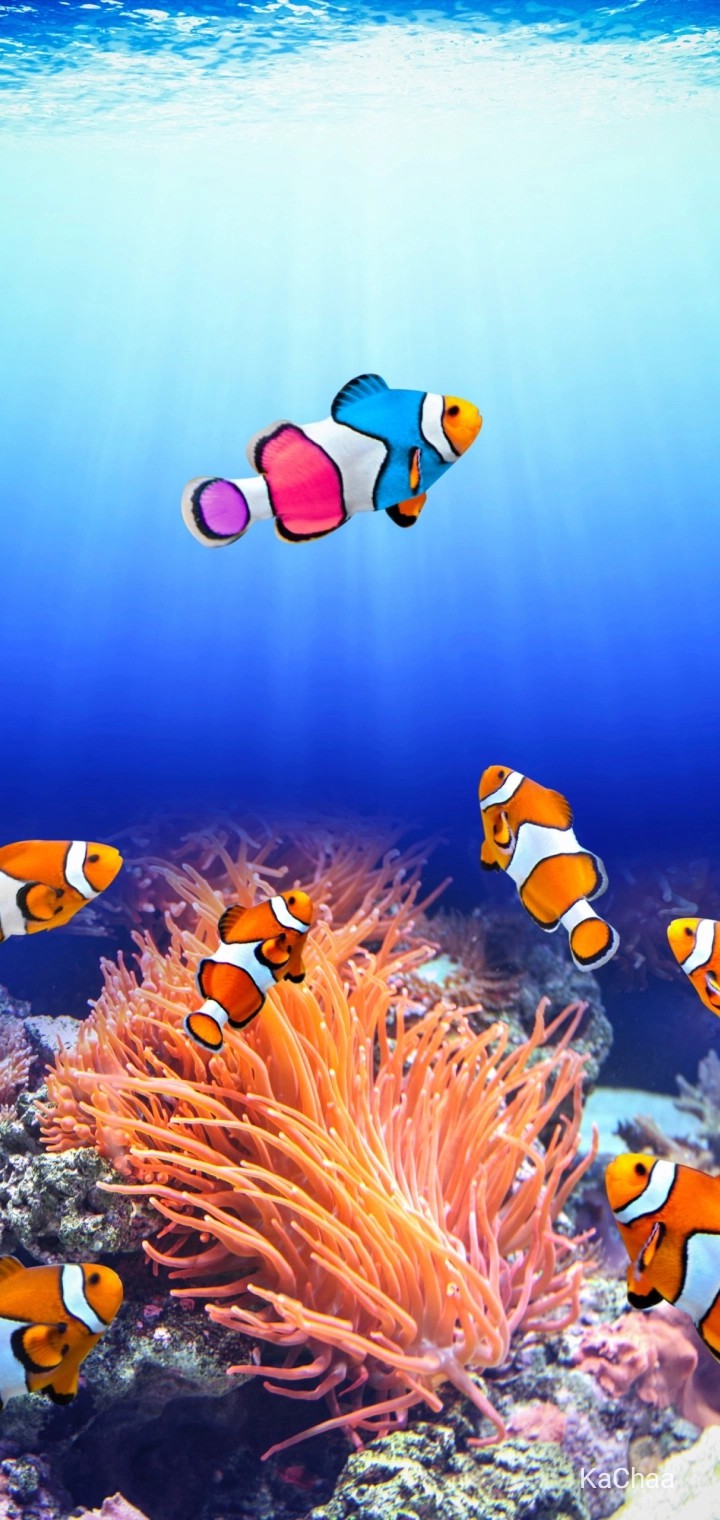 Yy