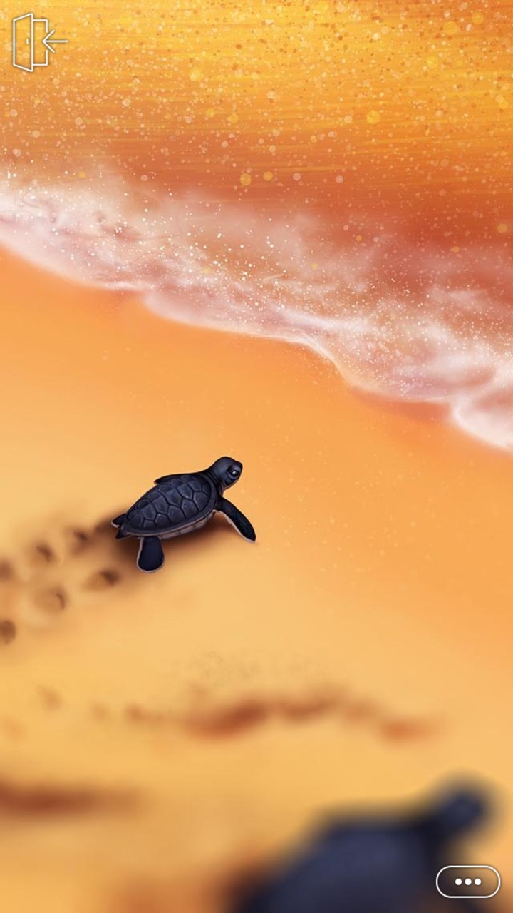 baby sea turtle