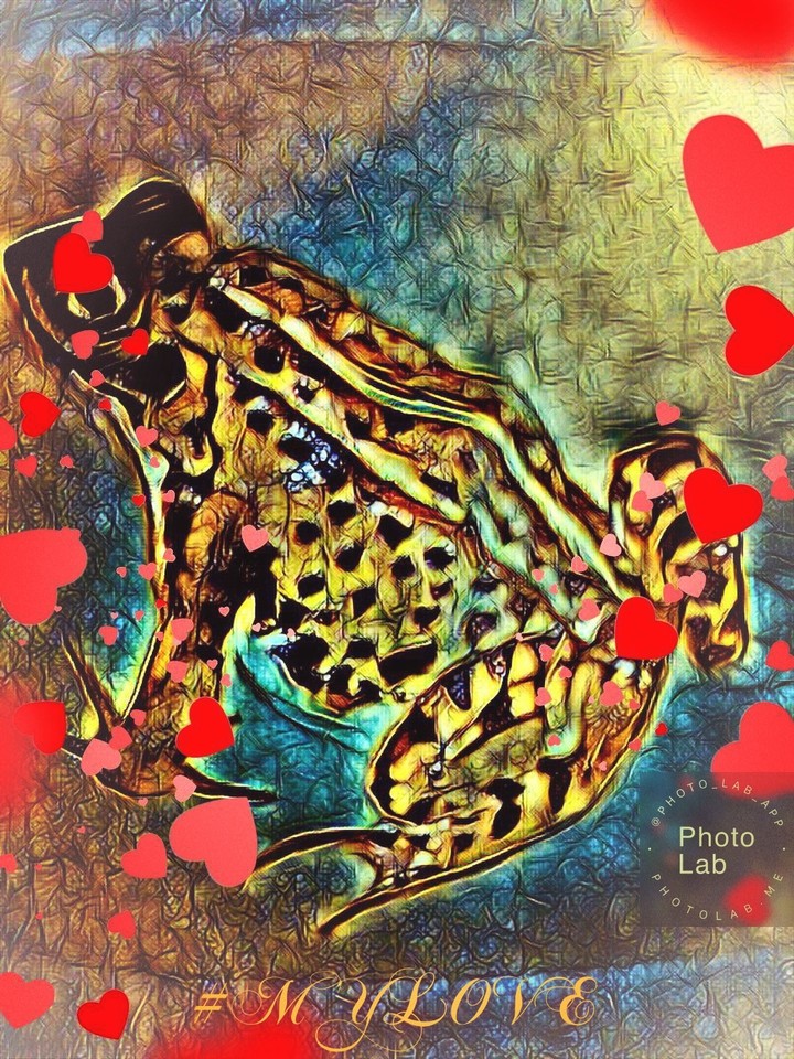 #MYLOVE