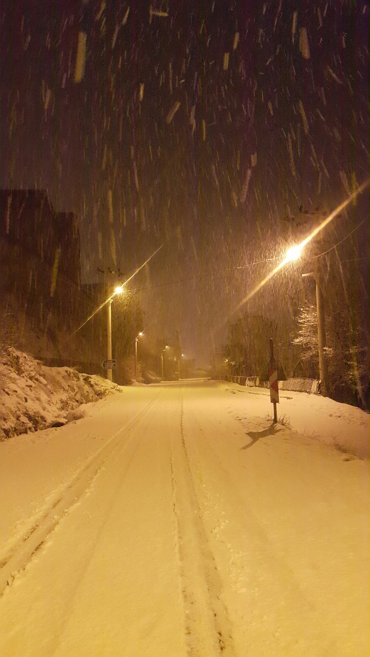 walking with a snowman