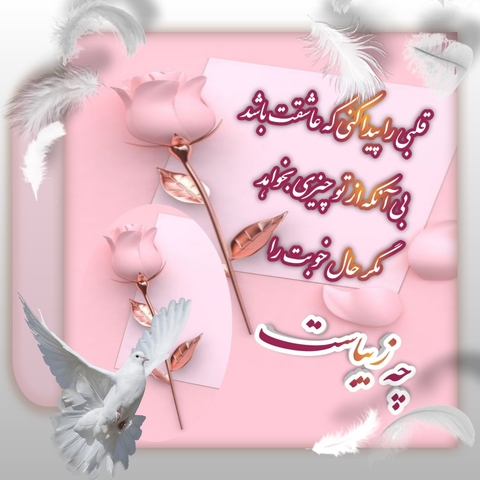 bird, font桌布
