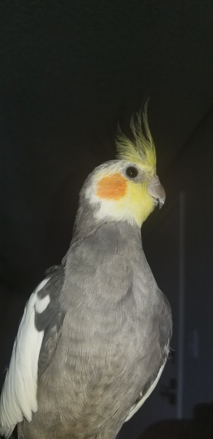 ?