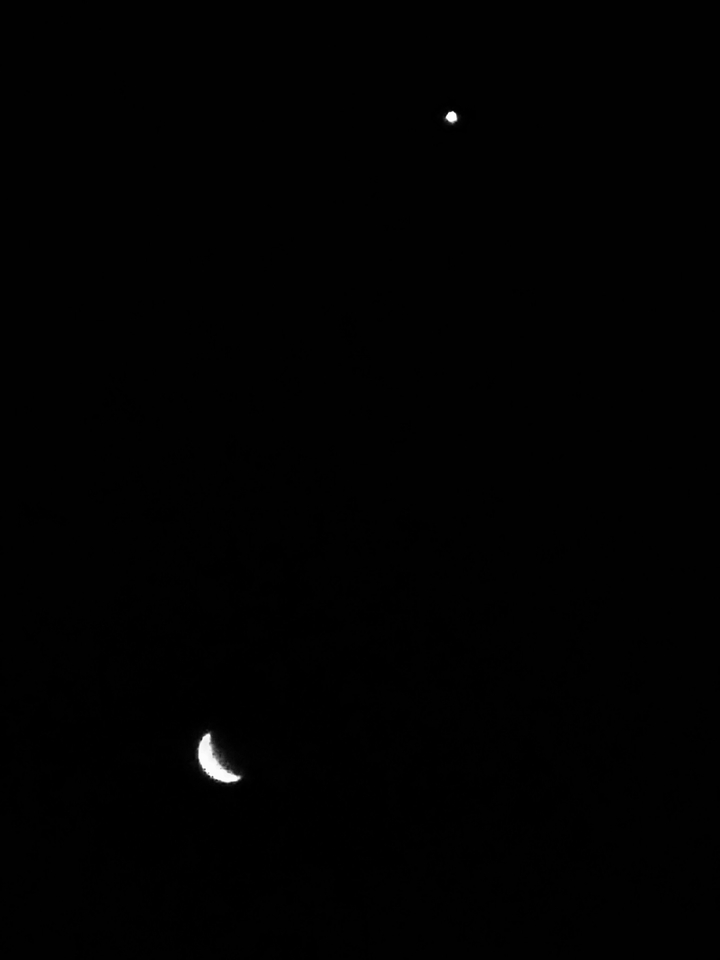 Crescent moon with a star