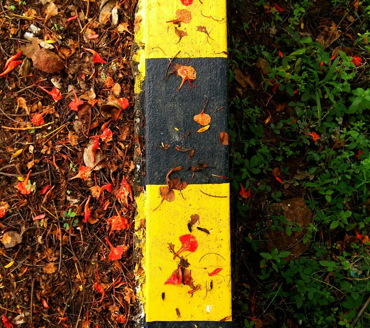 two halves