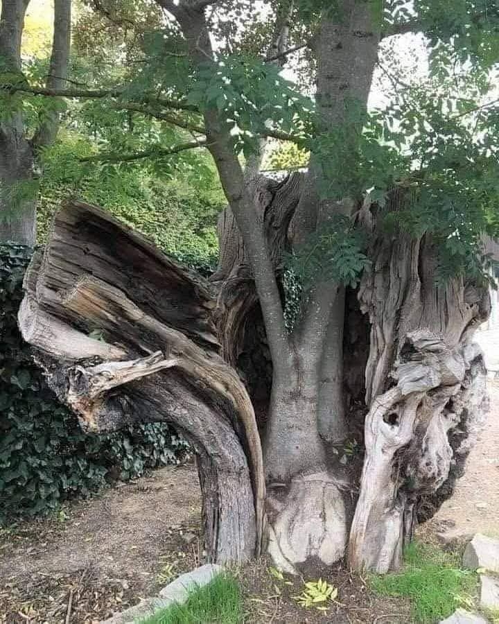 .