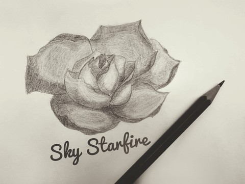 Drawing