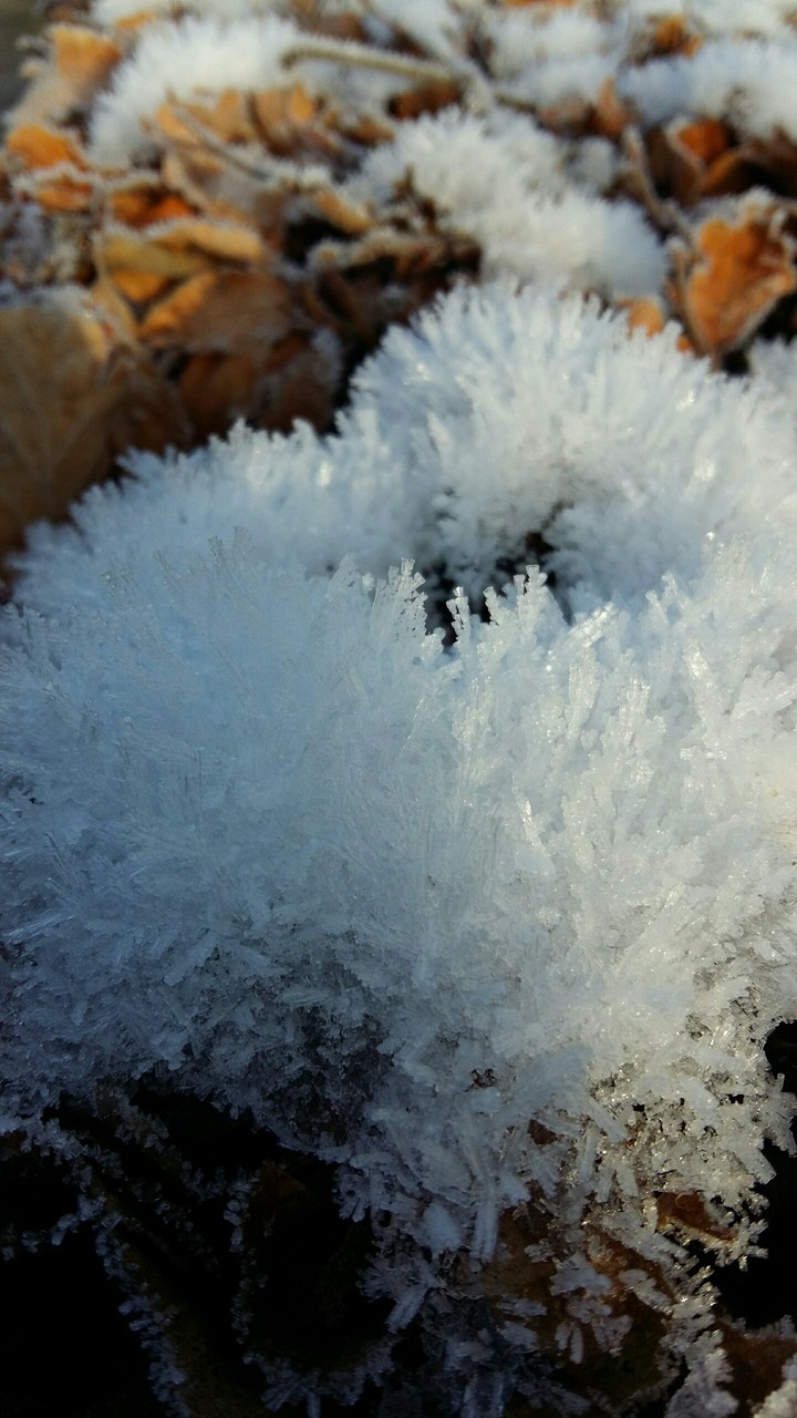 ice crystals