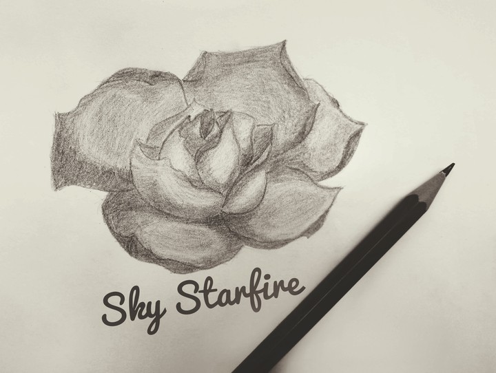 Drawing