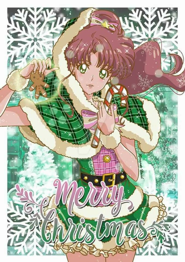 Sailor jupiter