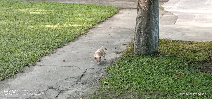 ???