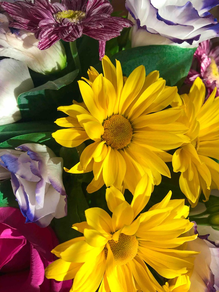flowers