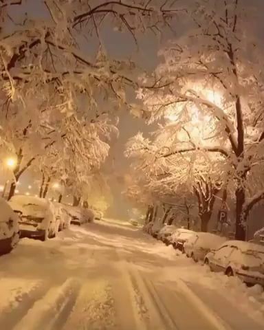winter