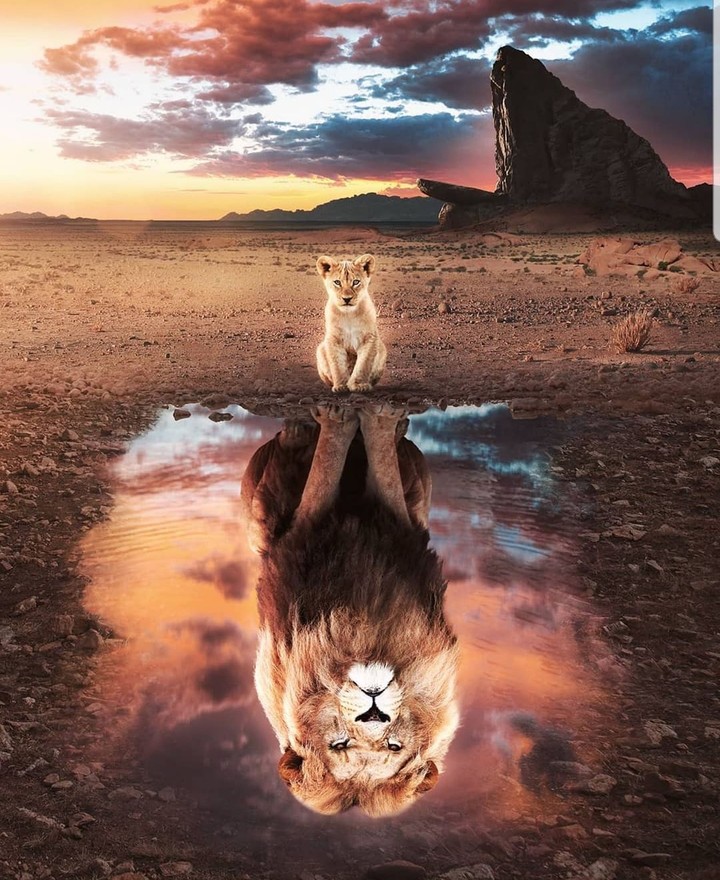 Simba