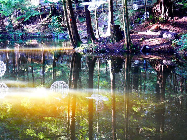 fairy