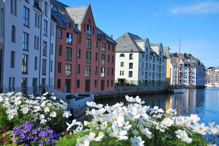 Flowers in Norway