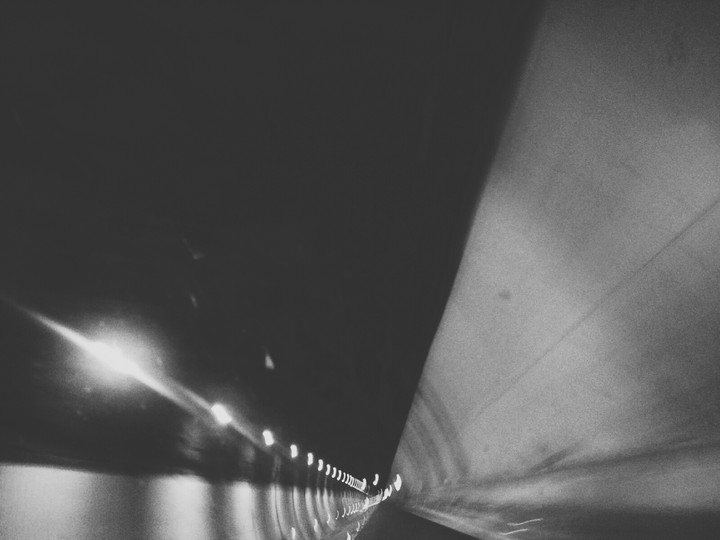 Gallery of life