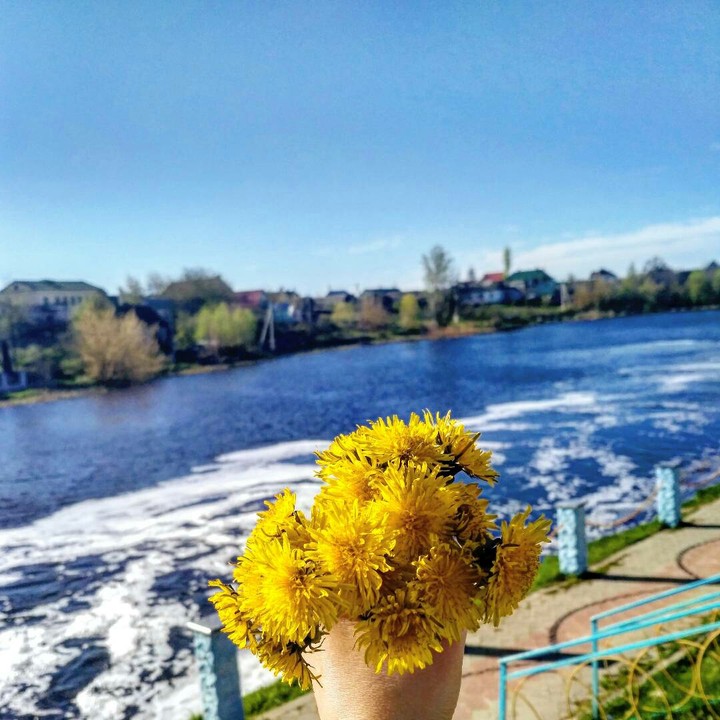 Радость первым дням весны