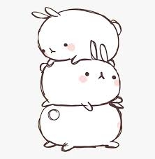 bunny