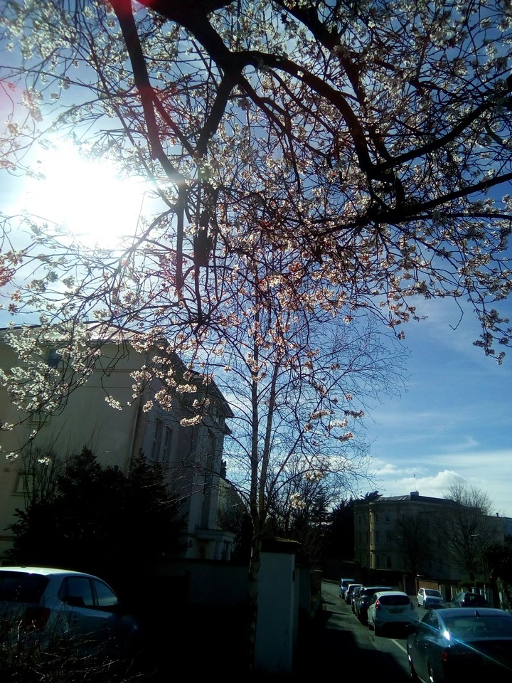 Cheltenham walks