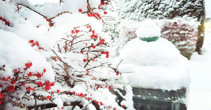 winter