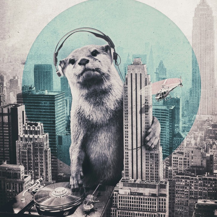 DJ