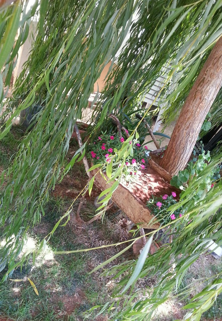 Greenview