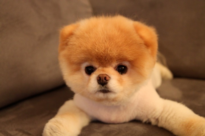 Am I Cute?
