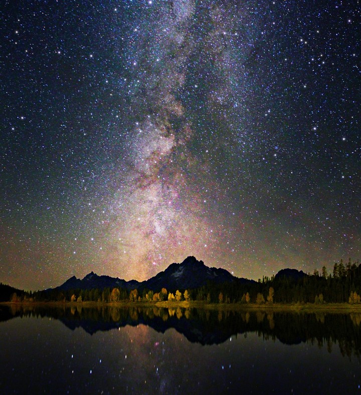 Cosmos