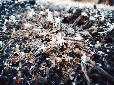 Frost Kristall
