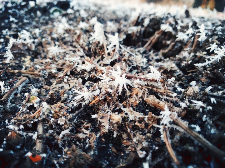 Frost Kristall
